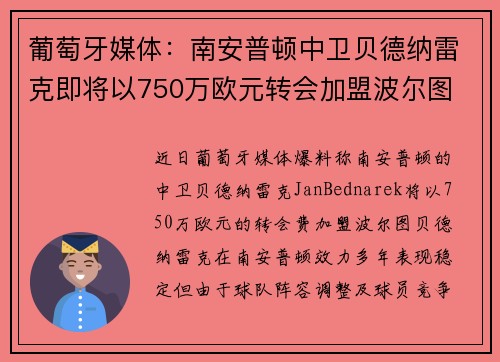 葡萄牙媒体：南安普顿中卫贝德纳雷克即将以750万欧元转会加盟波尔图